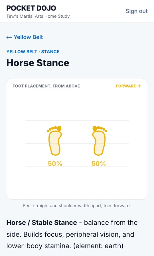 The Horse Stance lesson: foot placement from above, 50 percent on each foot